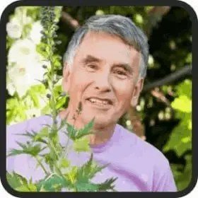 java-brain-testimonial-2